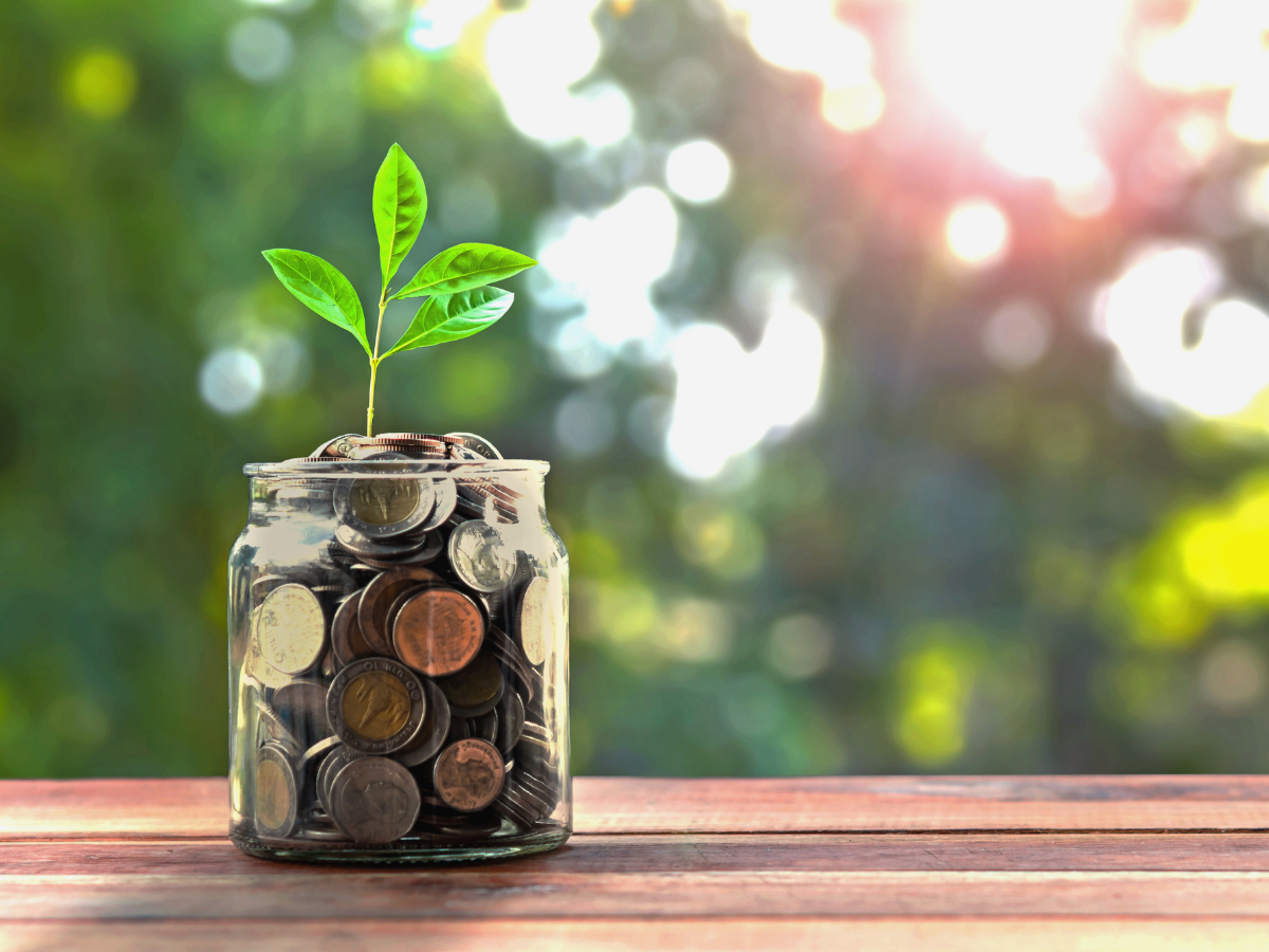 A Financial Wellness Guide for Millennials